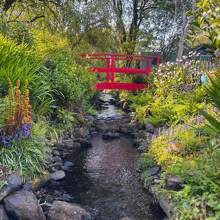 Streamside B And B With Parking Drimoleague Екстериор снимка